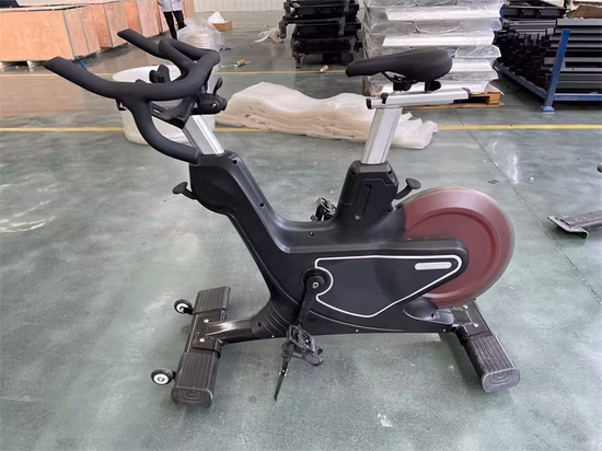 Factory Direct Supply Home Gym Cardio Magnetic Resistance Exercise Bike for Workout