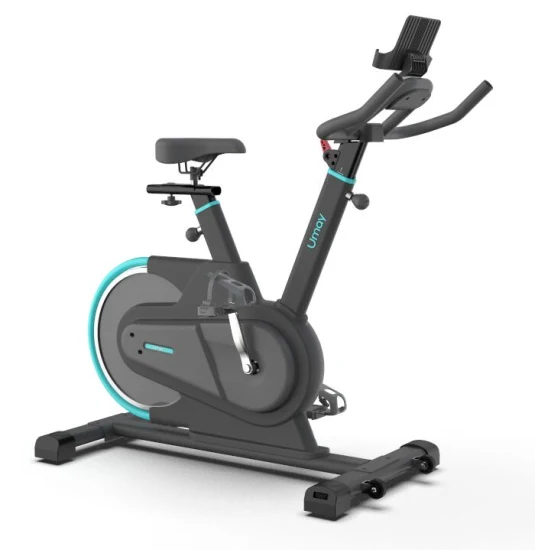 Bicicleta ergométrica, Spin Bike, Fitness, Home Fitness